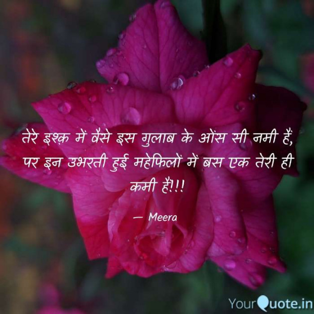 Hindi Shayri by Meera : 111579266