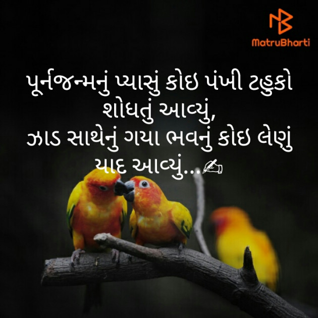 Gujarati Quotes by KgBites : 111579271