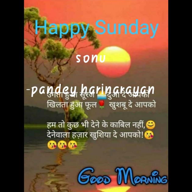 Hindi Shayri by pandey harinarayan : 111580448