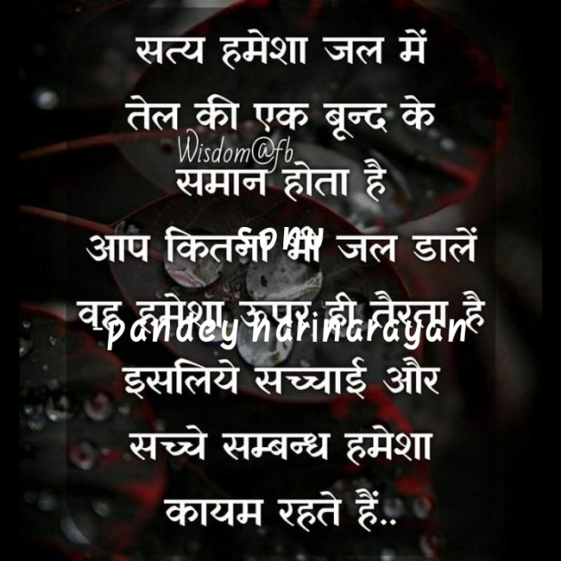 Hindi Shayri by pandey harinarayan : 111580449