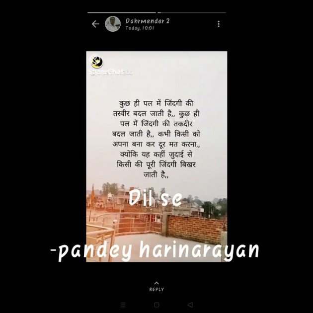 Hindi Shayri by pandey harinarayan : 111580806