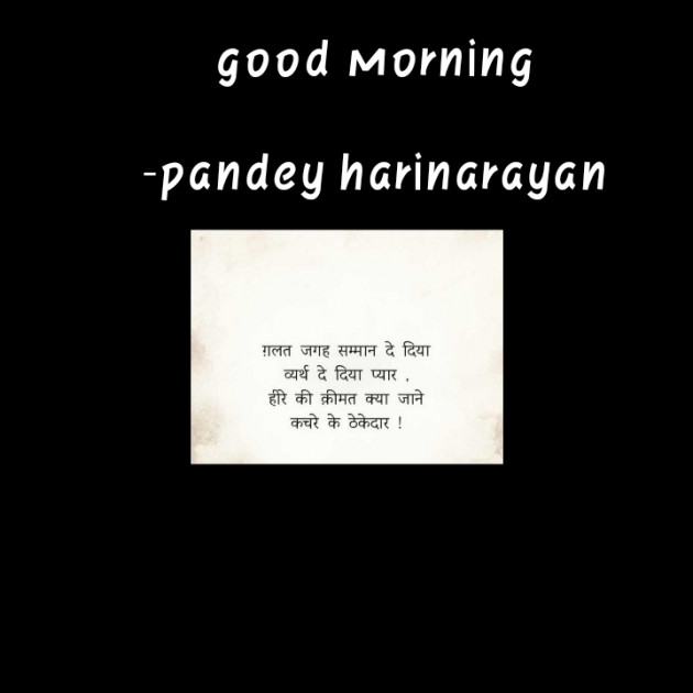 Hindi Shayri by pandey harinarayan : 111580807