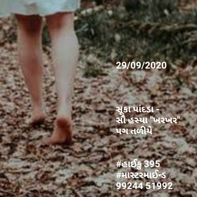 Gujarati Hiku by Mastermind : 111581256