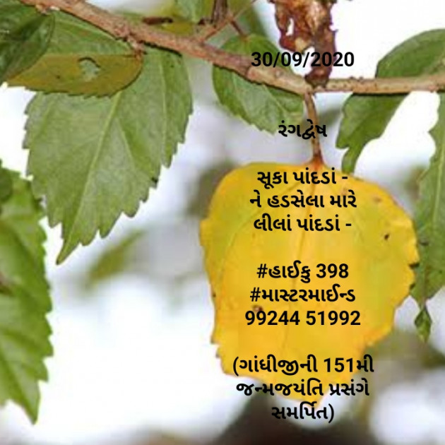 Gujarati Hiku by Mastermind : 111582018