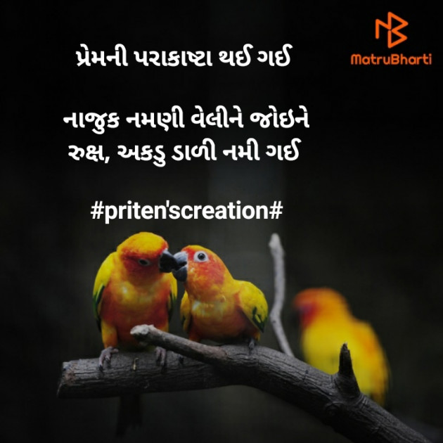 Gujarati Shayri by Priten K Shah : 111582235