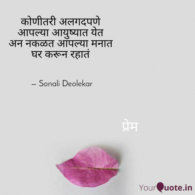 Hindi Poem by सोनाली देवळेकर : 111583822