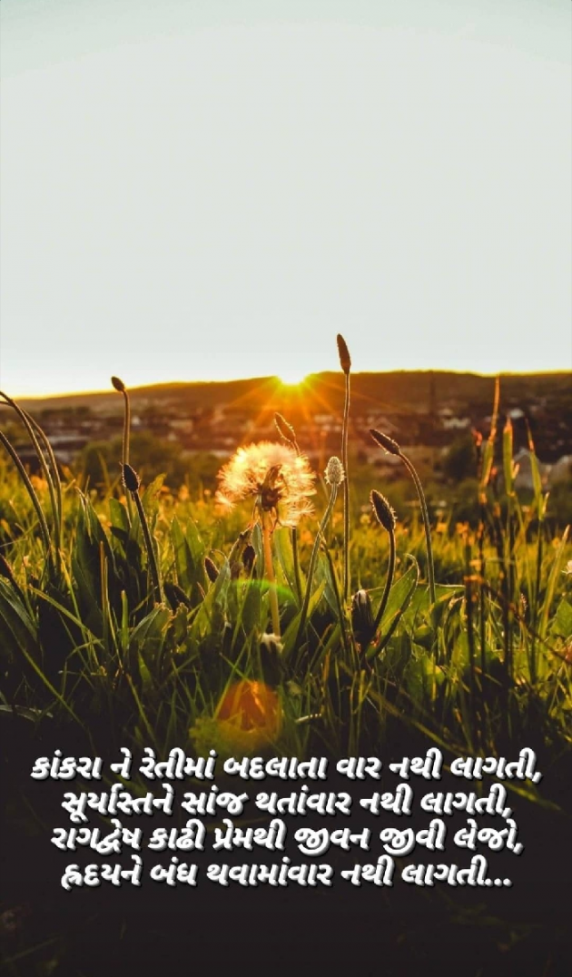 Gujarati Good Night by Taran_Goswami : 111584369