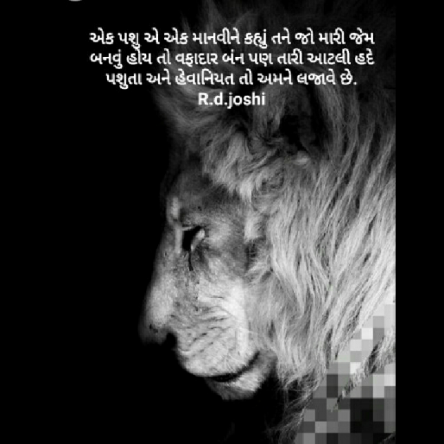 Gujarati Whatsapp-Status by Joshi Rinkal : 111584614