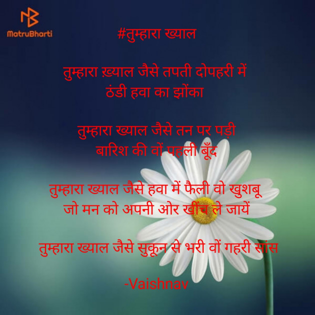 Hindi Poem by Vaishnav : 111584648