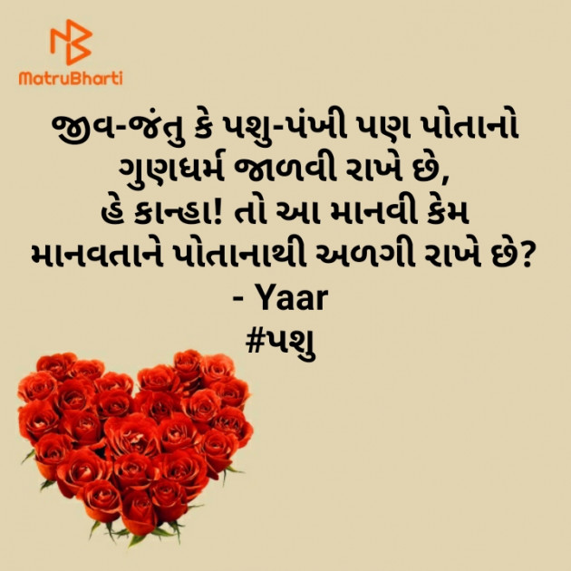 Gujarati Blog by Yaar : 111584703