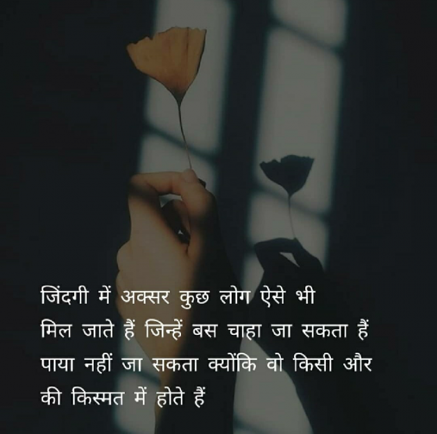 English Shayri by Minal Vegad : 111585703