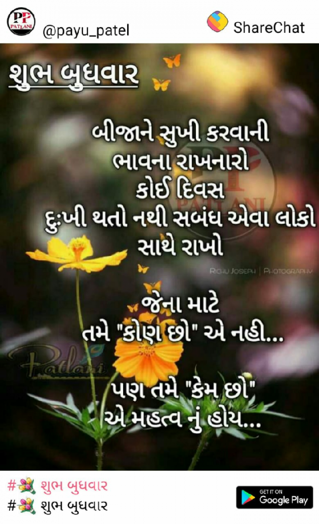 Gujarati Good Morning by Nayan Shah : 111586988