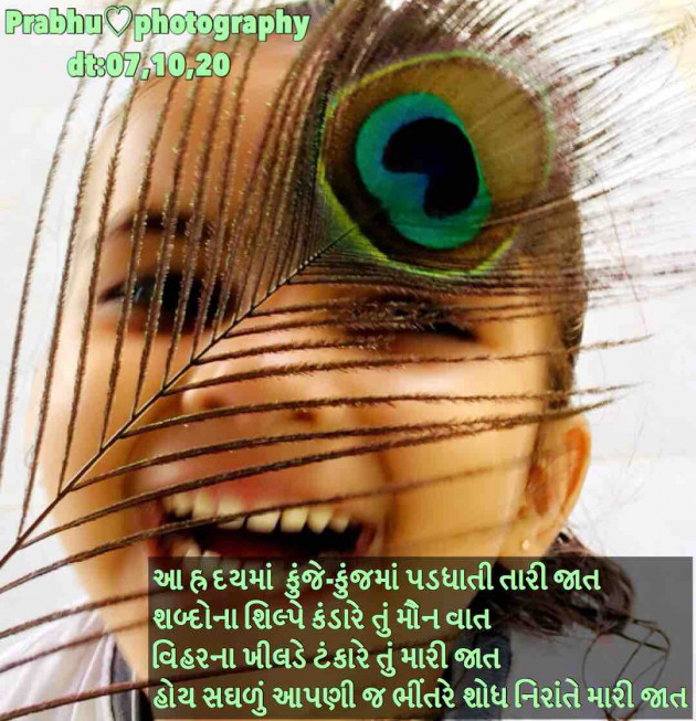 Gujarati Blog by પ્રભુ : 111587199