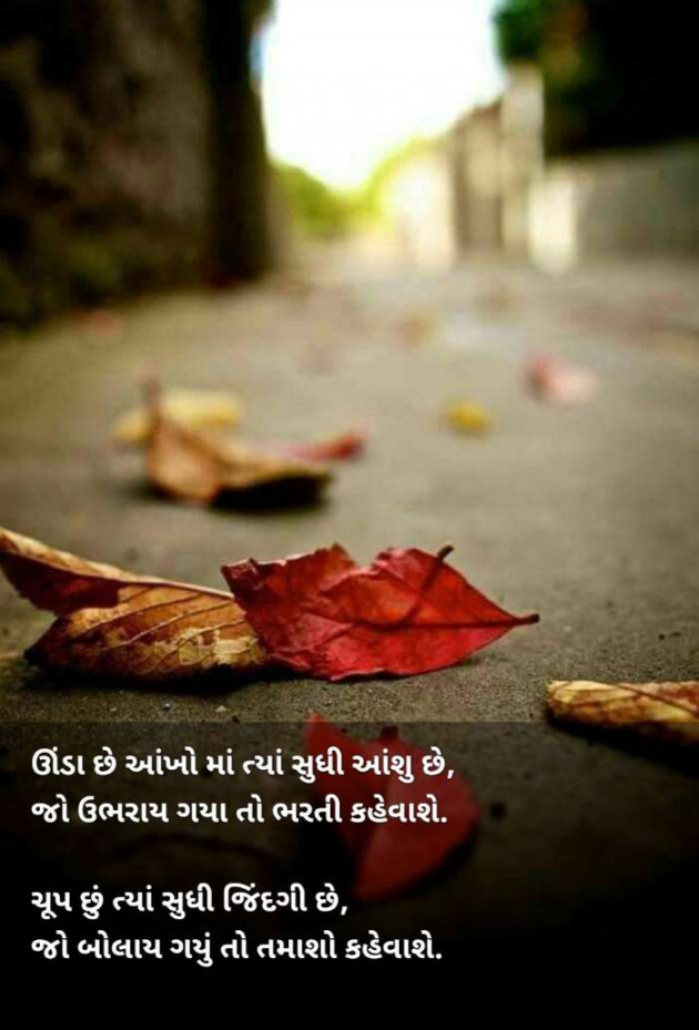 Gujarati Good Night by Mukesh Dhama Gadhavi : 111589707