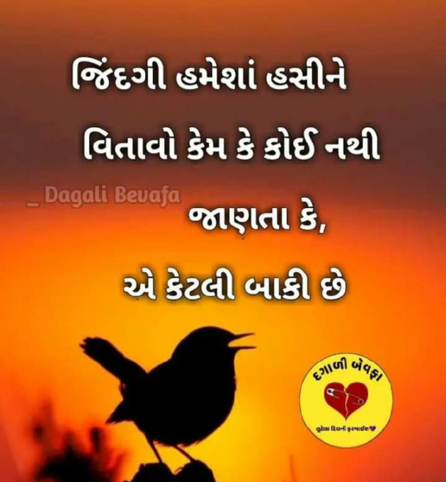 Gujarati Good Night by Jigar Joshi : 111589764