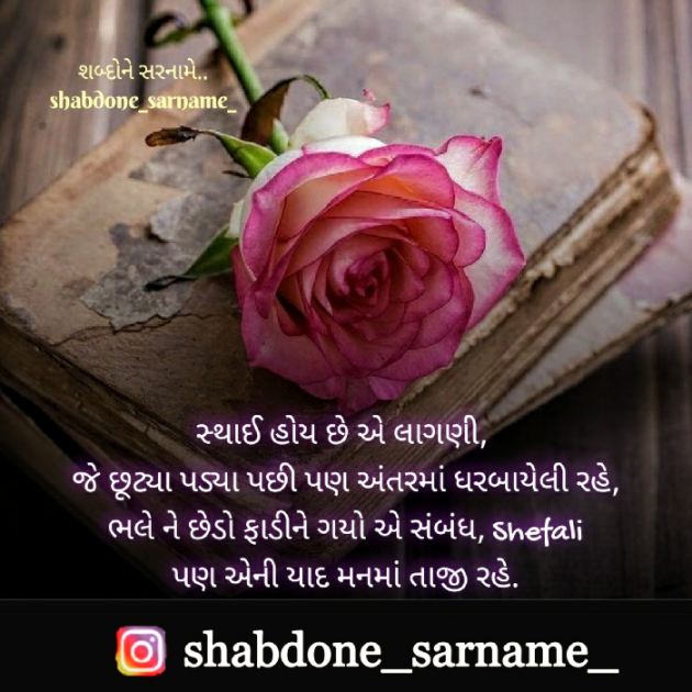 Gujarati Whatsapp-Status by Shefali : 111589895