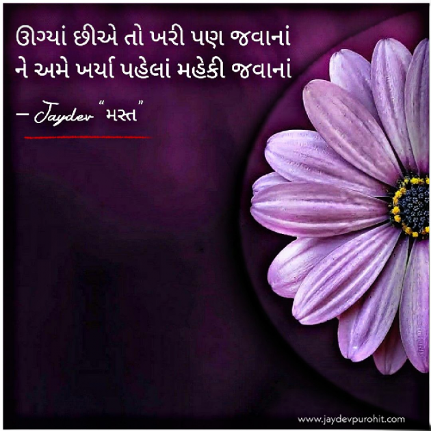 Gujarati Blog by JAYDEV PUROHIT : 111590058