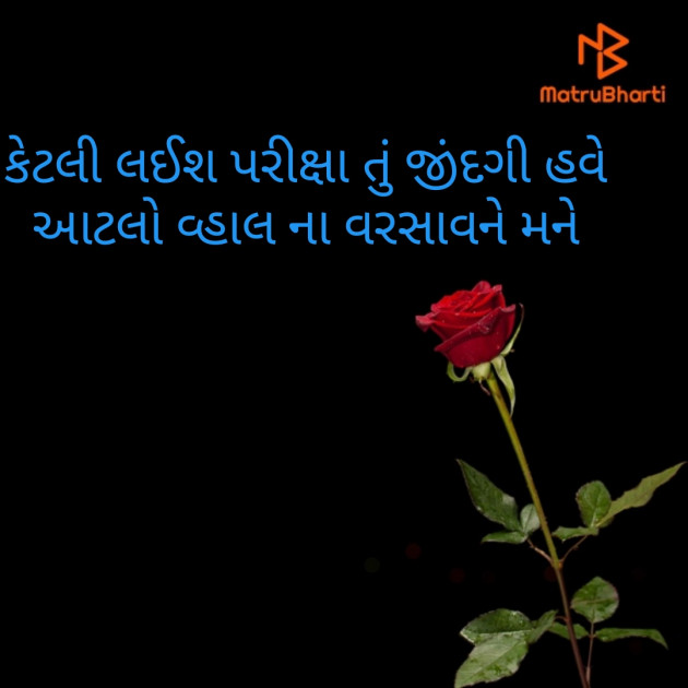 Gujarati Motivational by Sheela Patel : 111591782