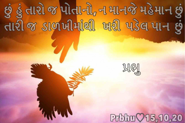 Gujarati Blog by પ્રભુ : 111592534