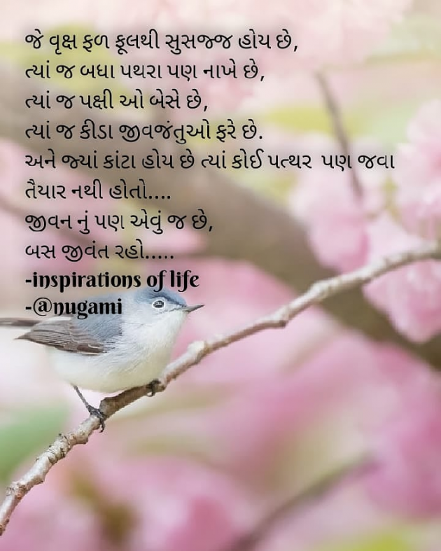 Gujarati Thought by Tr.Anita Patel : 111593267