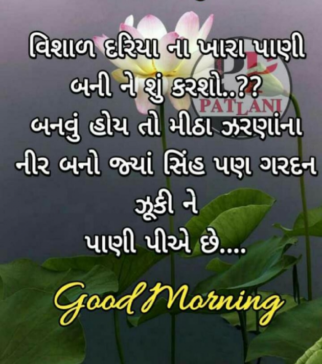 Gujarati Quotes by S Aghera : 111594499