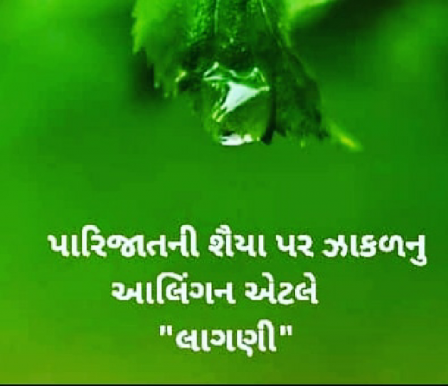 Gujarati Blog by mital tank : 111595179