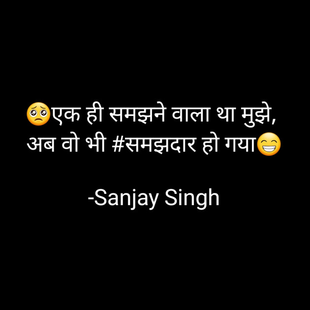 Hindi Whatsapp-Status by Sanjay Singh : 111595689