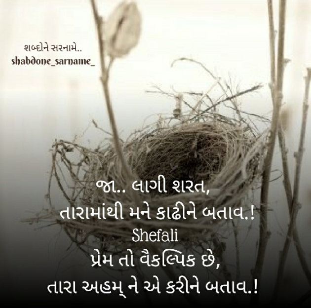 Gujarati Whatsapp-Status by Shefali : 111596234