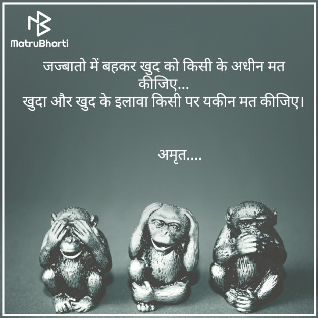 Hindi Quotes by Amrut : 111597579