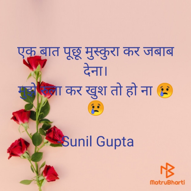 Hindi Romance by Sunil Gupta : 111597985