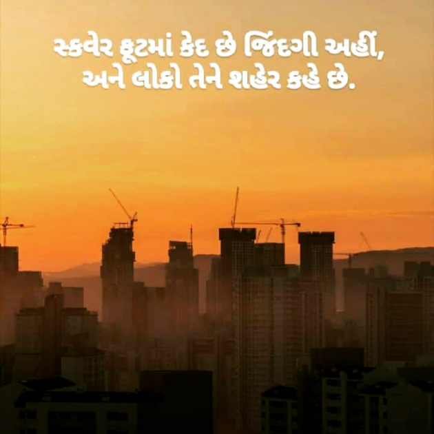 Gujarati Blog by mital tank : 111598477