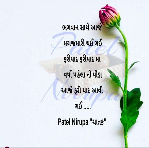 Gujarati Blog by Patel Nirupa ચાતક : 111598817