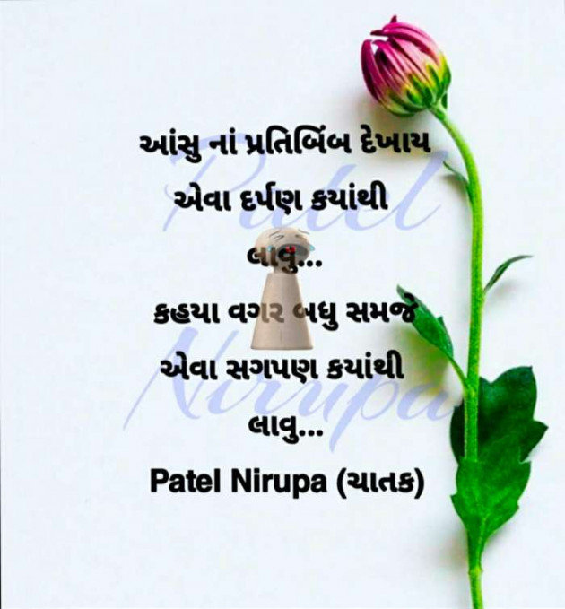 Gujarati Blog by Patel Nirupa ચાતક : 111598914