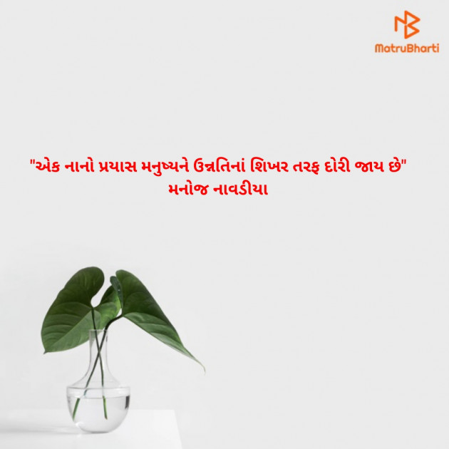 Gujarati Quotes by મનોજ નાવડીયા : 111598921