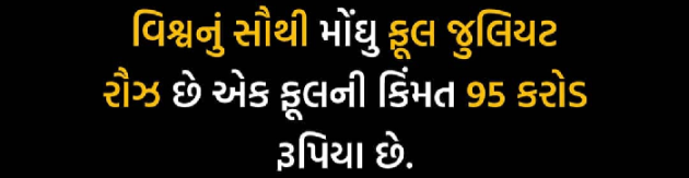 Gujarati Motivational by SHASHANK KHONA : 111598973