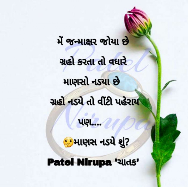 Gujarati Blog by Patel Nirupa ચાતક : 111599123