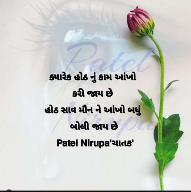 English Blog by Patel Nirupa ચાતક : 111600341
