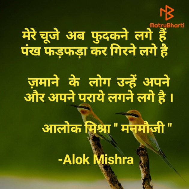Hindi Thought by Alok Mishra : 111600543