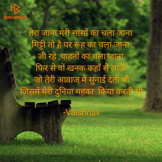 Hindi Poem by Vaishnav : 111600560