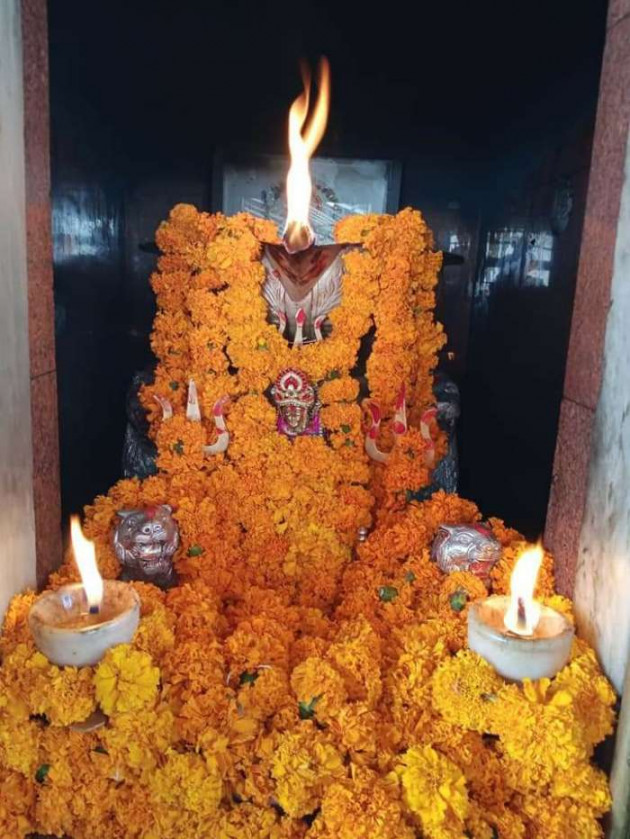 Gujarati Good Evening by AP ap : 111601018