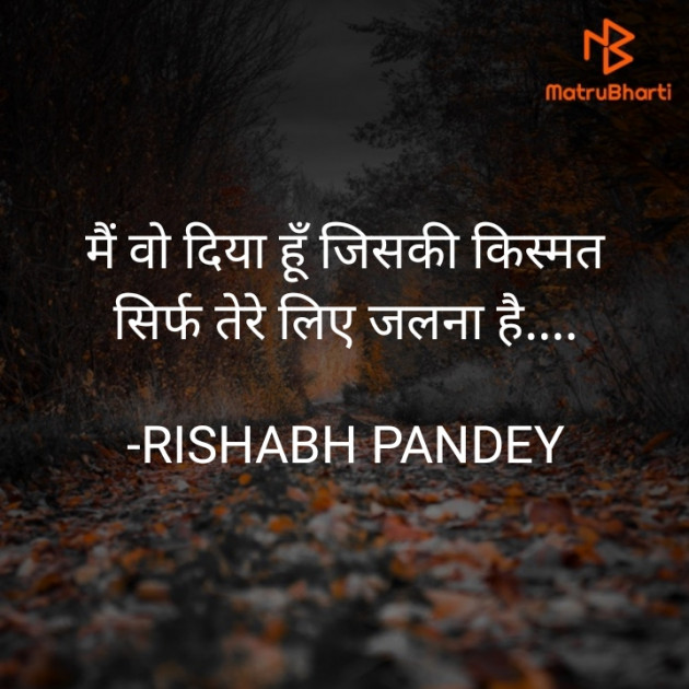 Hindi Sorry by RISHABH PANDEY : 111602940