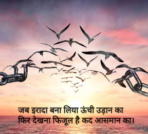 English Shayri by Bhavisha Mungapara : 111603110
