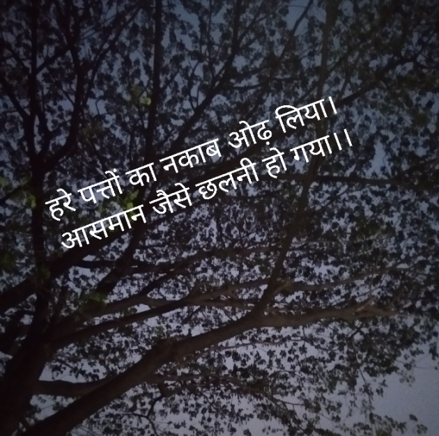English Shayri by Praful Joshi : 111603204