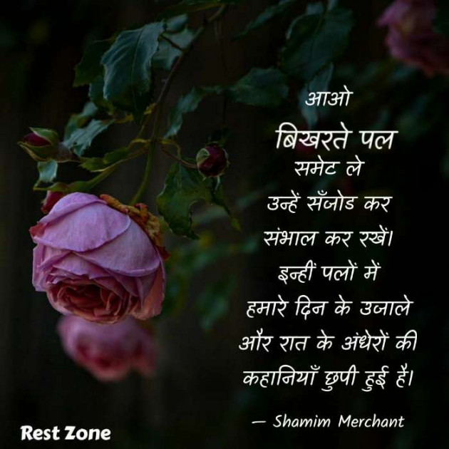 English Poem by SHAMIM MERCHANT : 111603372