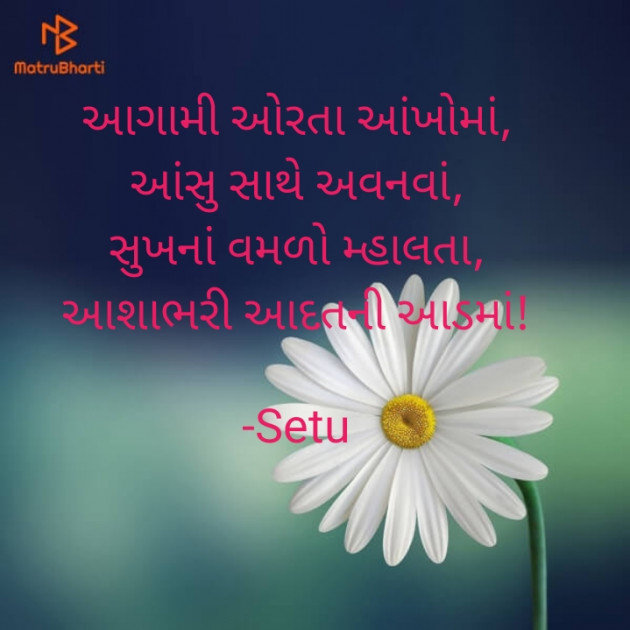 Gujarati Quotes by Setu : 111603389