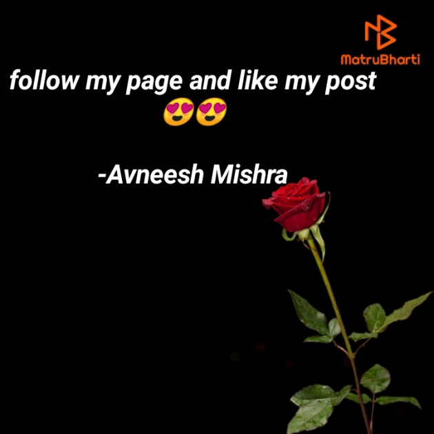 English Blog by अvii miश्र : 111603503