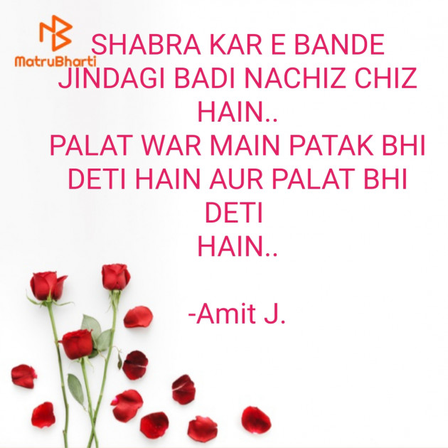 Hindi Thought by Amit J. : 111603692