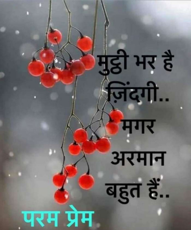 Hindi Thought by Heema Joshi : 111603916