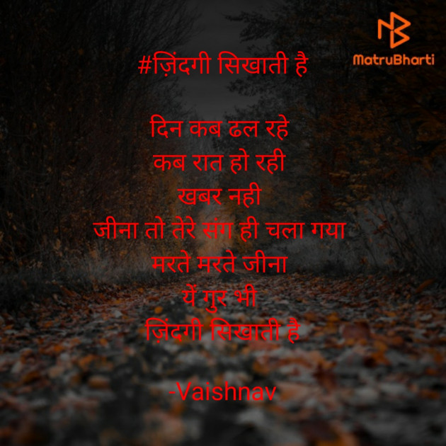 Hindi Poem by Vaishnav : 111604088