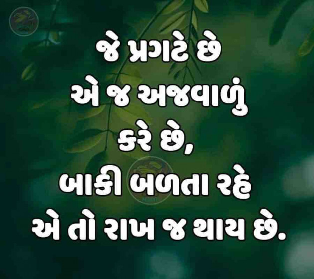 Gujarati Quotes by M shah : 111604147